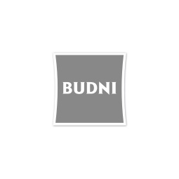 logo_budni
